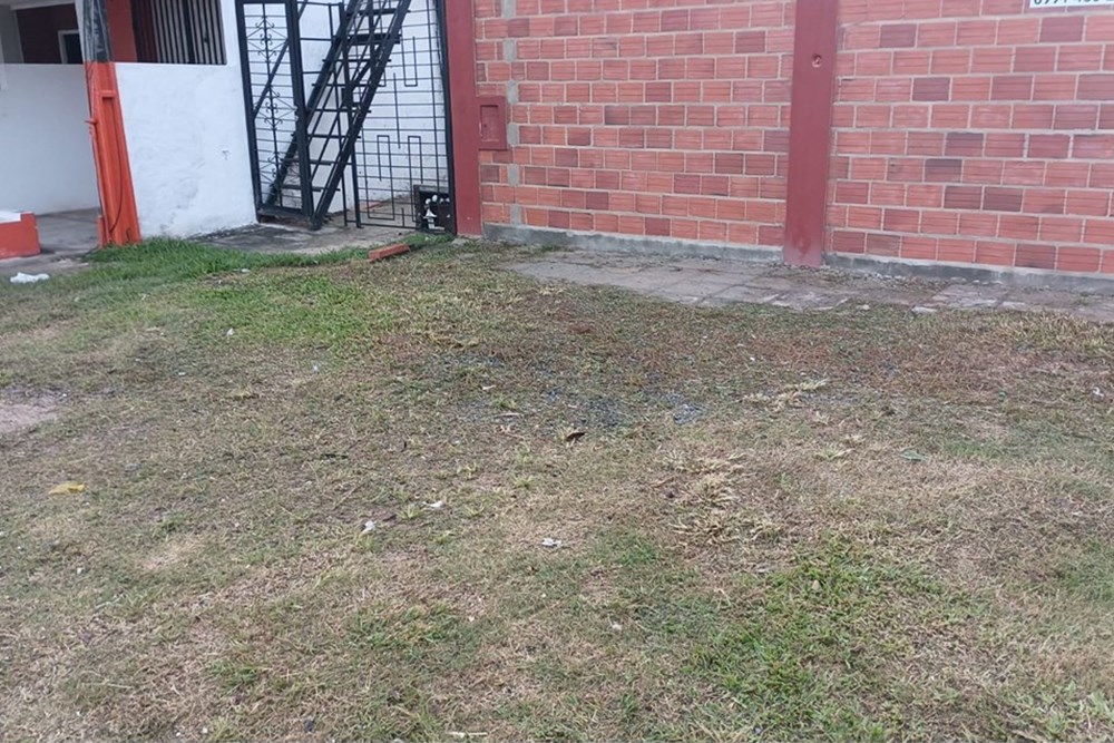 ALQUILO TERRENO ENLUQUE SOBRE AUTOPISTA — foto 2