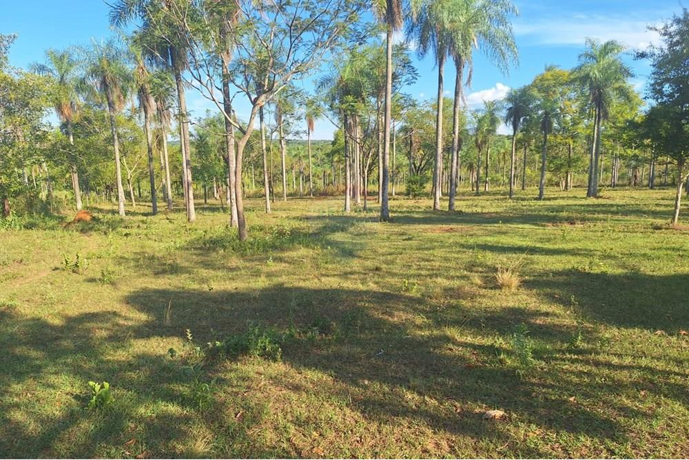 VENDO TERRENO EN ALTOS — foto 2