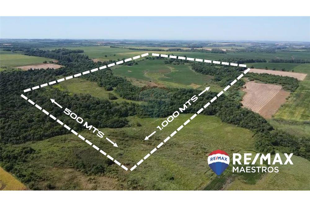VENDO CAMPO EN CAPITAN MIRANDA 50 HECTAREAS — foto 2