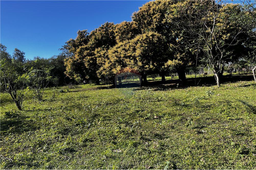 AMPLIO TERRENO DE 7.494 M² A 700 M DE RUTA 1 – PARAGUARÍ — foto 3