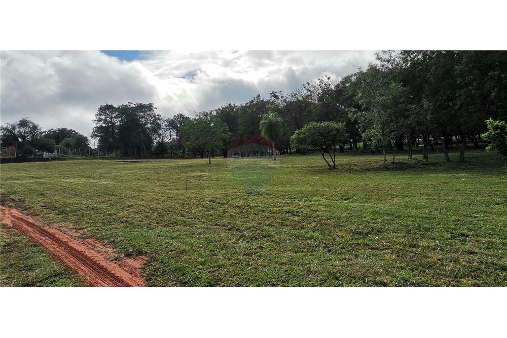Terreno en venta en Villa Elisa — foto 2