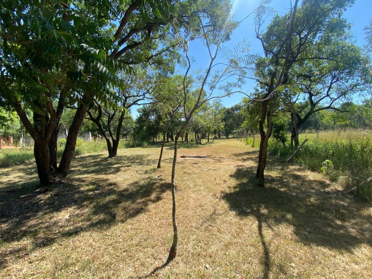 VENDO TERRENO EN SAN BERNARDINO CIERVO CUA — foto 3
