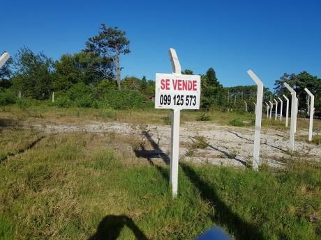 Terreno El Pinar Sur, 972 M2, 4 Pozos Vertidores, En Ochava, Piques De Material
