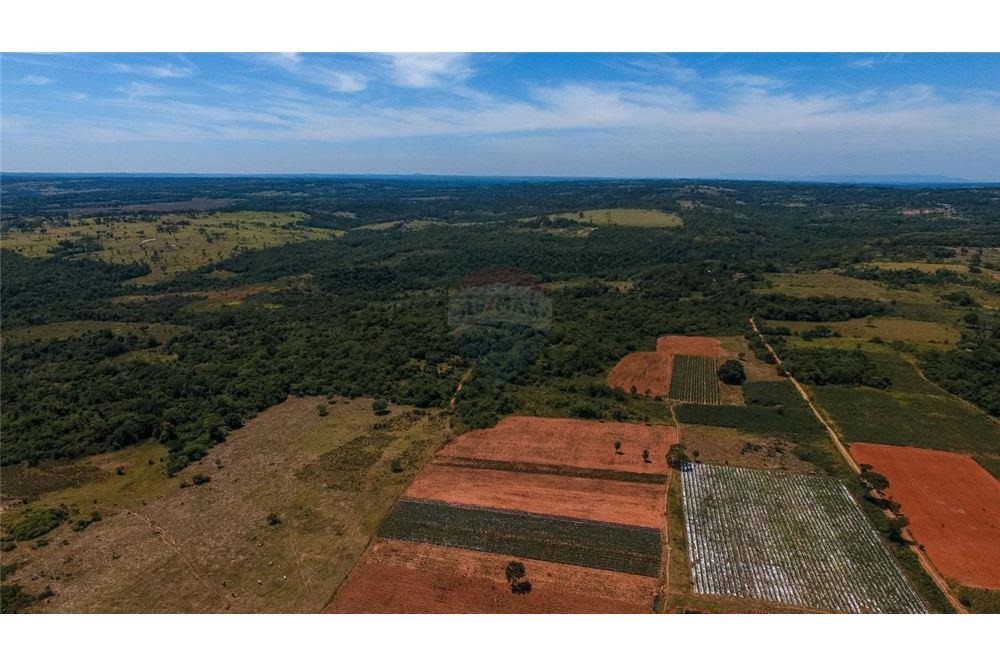 VENDO CAMPO FERTIL AGROGANADERO EN CORONEL OVIEDO — foto 3