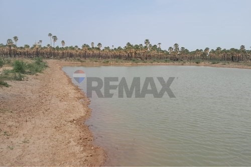 Terreno en venta en Villa Hayes — foto 3