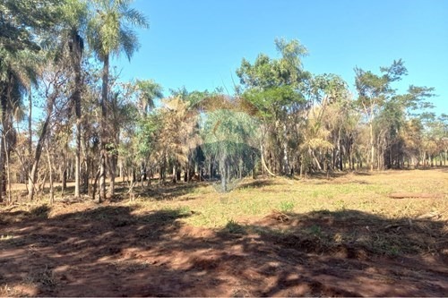 VENDO TERRENOS EN ITAGUA — foto 2