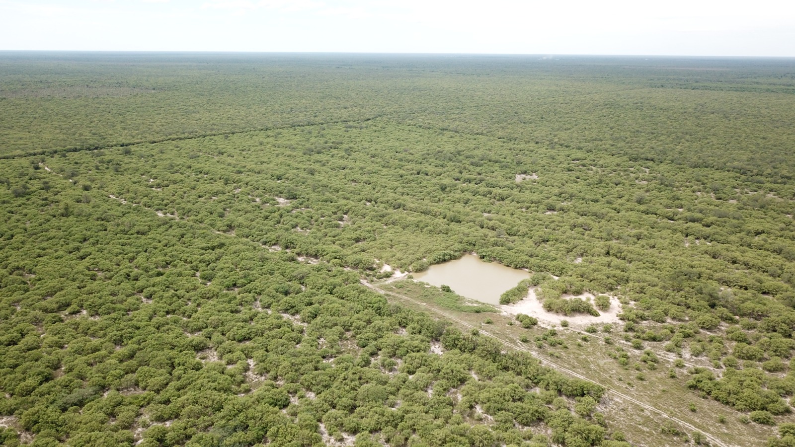 CAMPO DE 7.500 HECTAREAS EN PRESIDENTE HAYES — foto 3