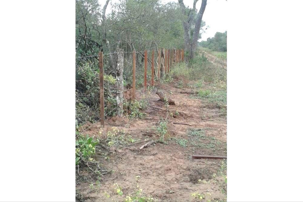 VENDO CAMPO EN BOQUERON POZO HONDO DE 7.425 HECTAREAS — foto 2