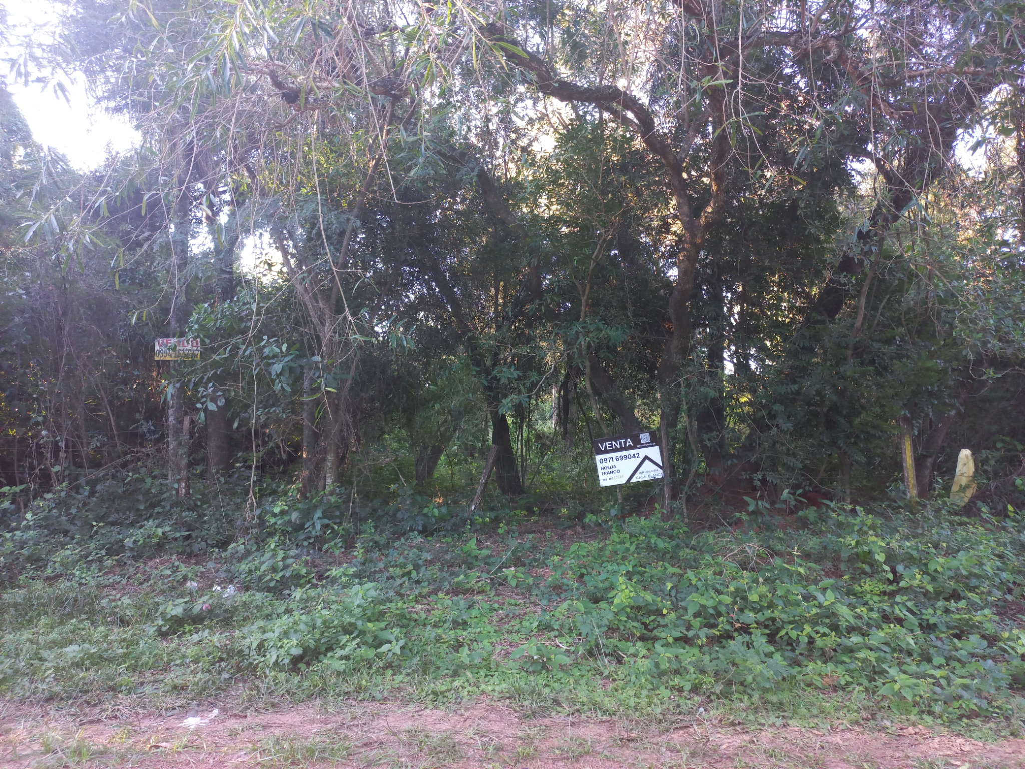 Venta Terreno en Aregua, A 1,7 km del Centro — foto 2