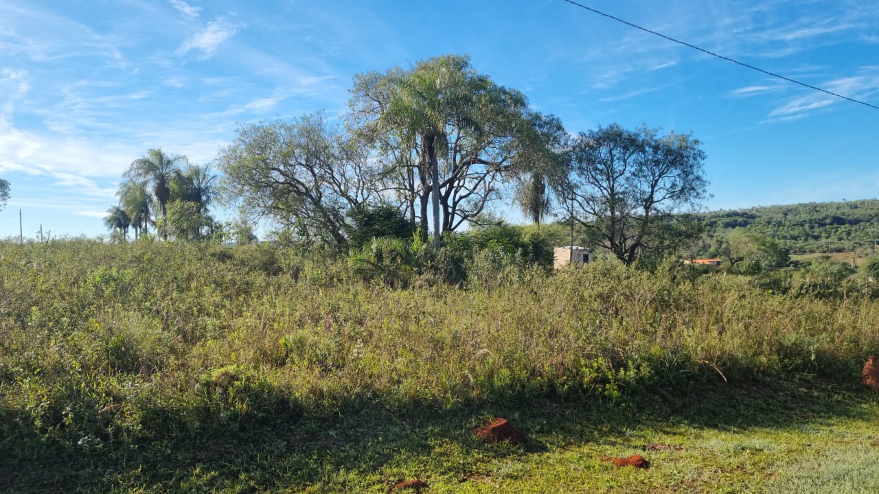 OPORTUNIDAD DE INVERSIÓN — TERRENOS EN PIRIBEBUY — foto 2