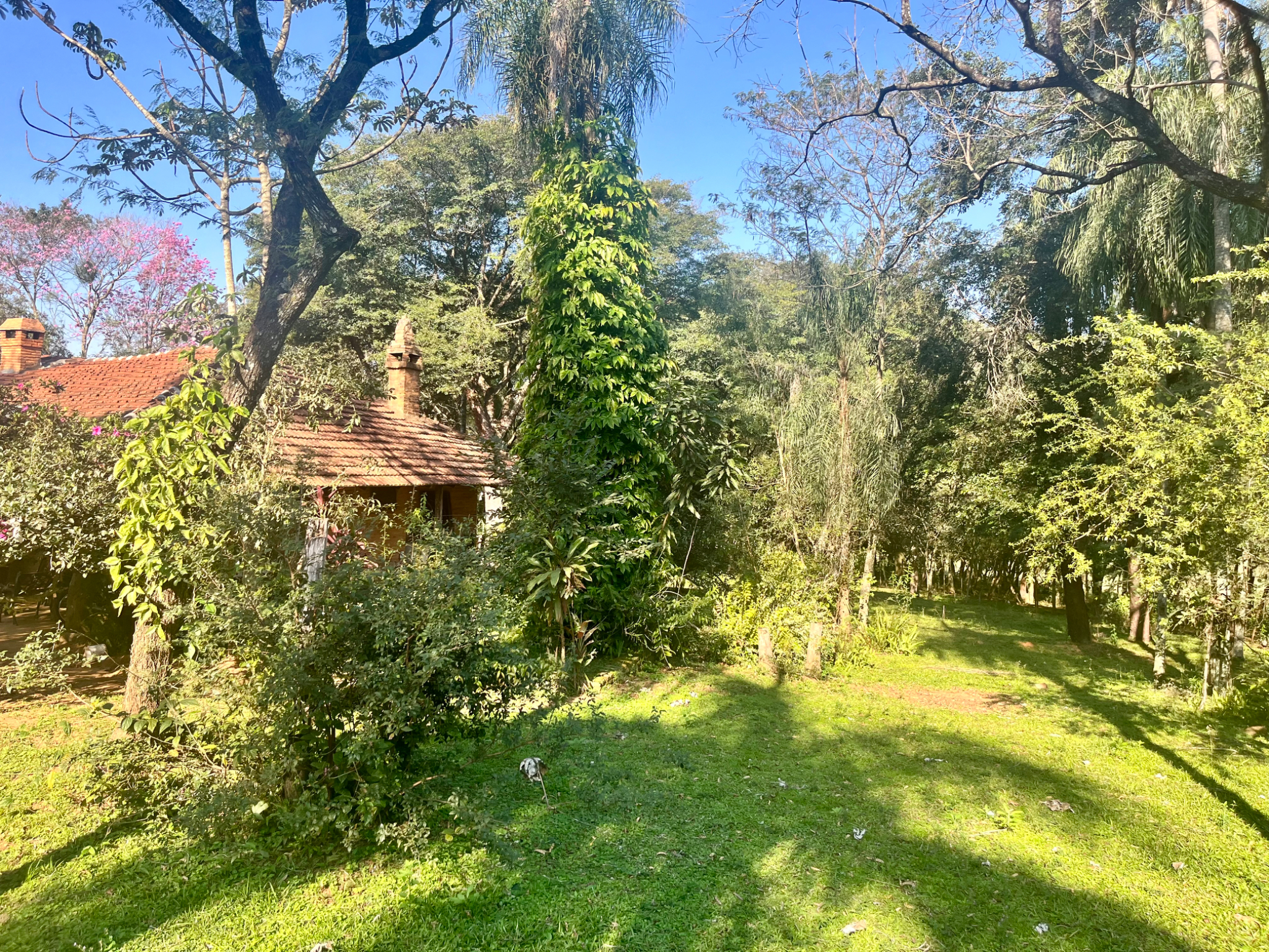 Vendo 21 Hectáreas Sobre Ruta Py08, Yataity, Guairá — foto 3