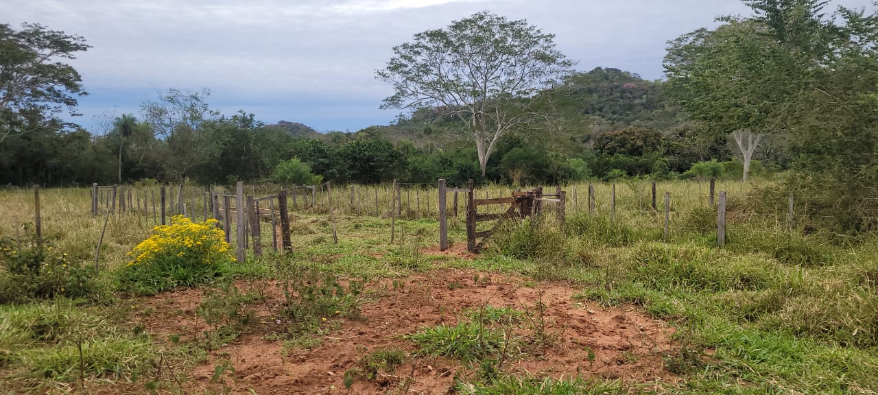 Terreno en Yaguaron 14 HA. — foto 3