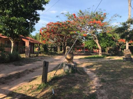 Amplios Terrenos En Venta