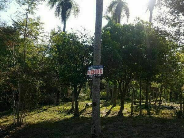 TERRENO EN VENTA LA SUIZA — foto 2