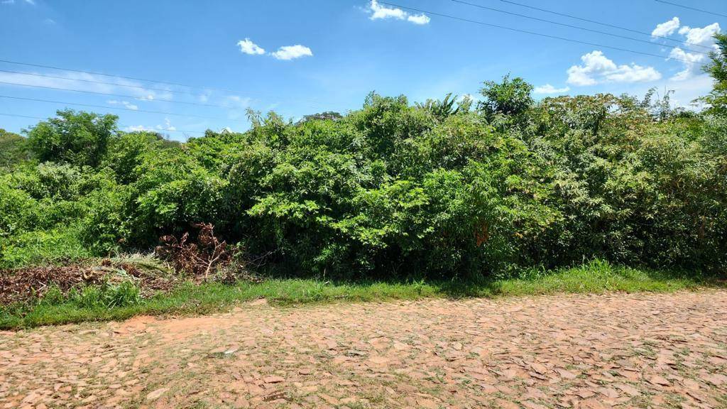 VENDO Terreno 2400 m2 - La Colmena, Paraguari — foto 3