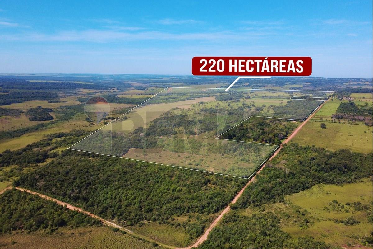 Finca Agrícola - Venta - San Estanislao, San Pedro, Paraguay — foto 2