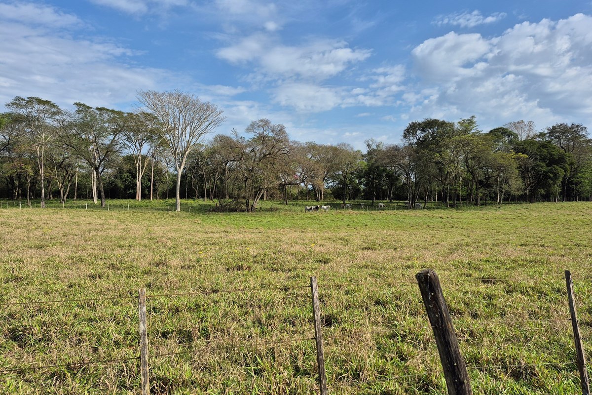 Granja Agrícola-Venta- Albadón, Caazapá, Caazapá — foto 3