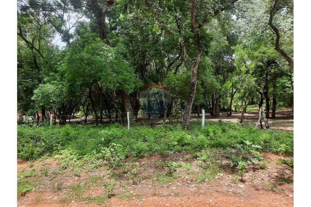 TERRENO-VENTA-SAN BERNARDINO-CORDILLERA — foto 3