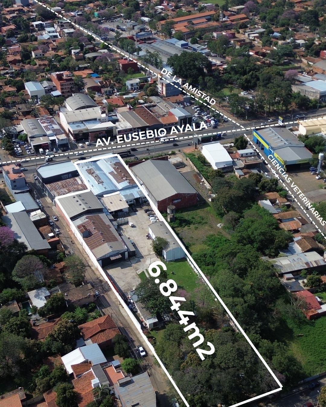 TINGLADO DEPOSITO SOBRE AVENIDA EUSEBIO AYALA — foto 2