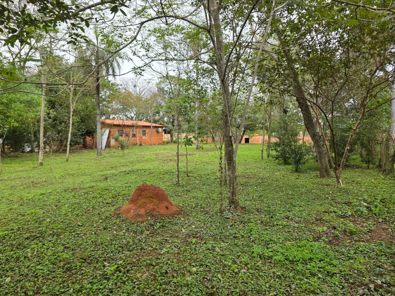 Terreno en venta en Caacupe — foto 3