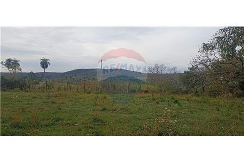 VENDO TERRENO DE 23 HECTAREAS EN PARAGUARI!!! — foto 2