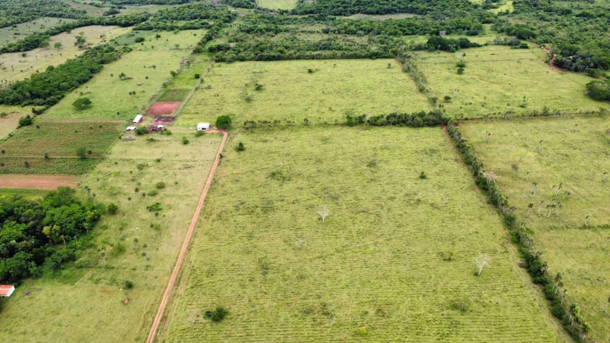 Gran Propiedad Rural en Compañía Arasaty — foto 3