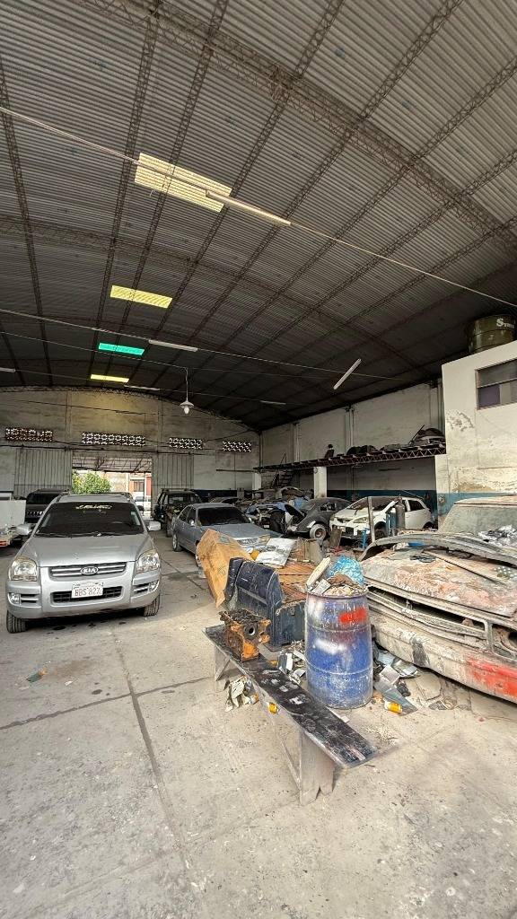 TERRENO CON TINGLADO EN VENTA — foto 3