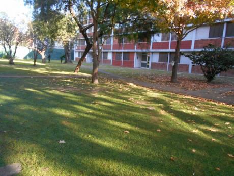 Frente A Antel Arena. Complejo Cercado. Alquiler 3 Dormitorios Brazo Oriental.