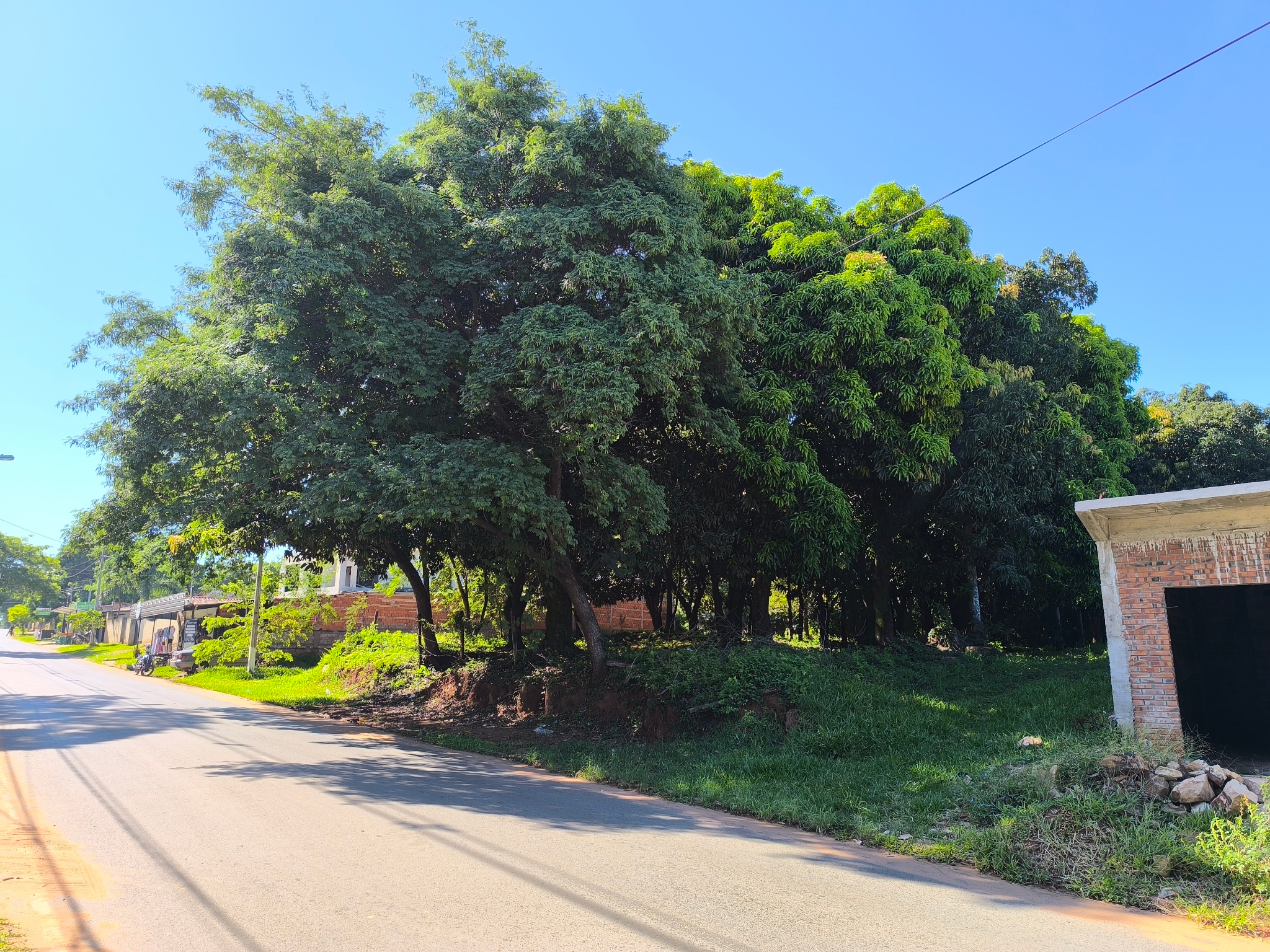 EN VENTA TERRENO ESTRATEGICO EN CAACUPE — foto 2