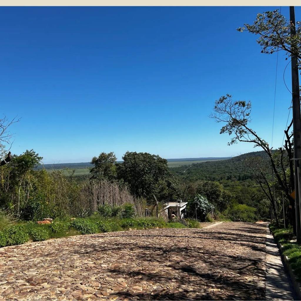 VENDO 5 HAS EN CUMBRE DE CIERVO CUA - SAN BERNARDINO — foto 3