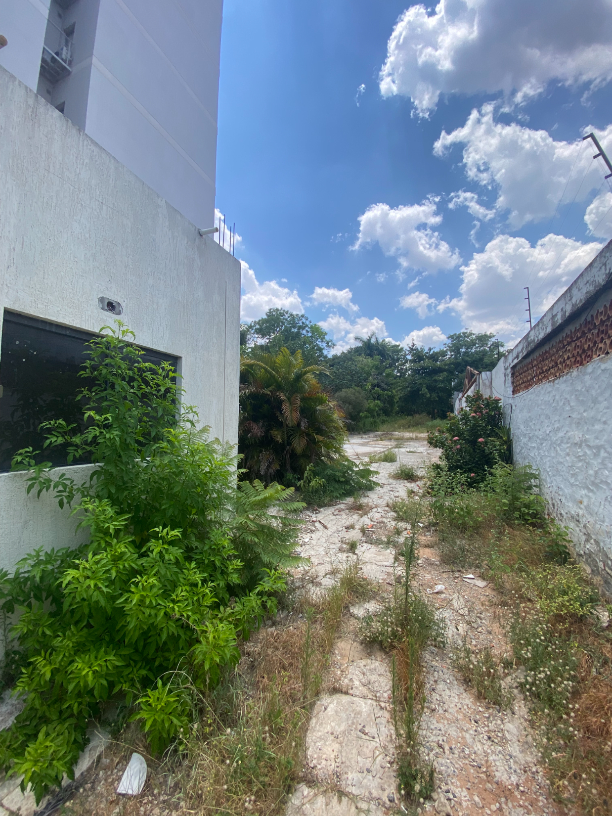 VENDO TERRENO EN EL BARRIO RECOLETA EN ASUNCION — foto 2