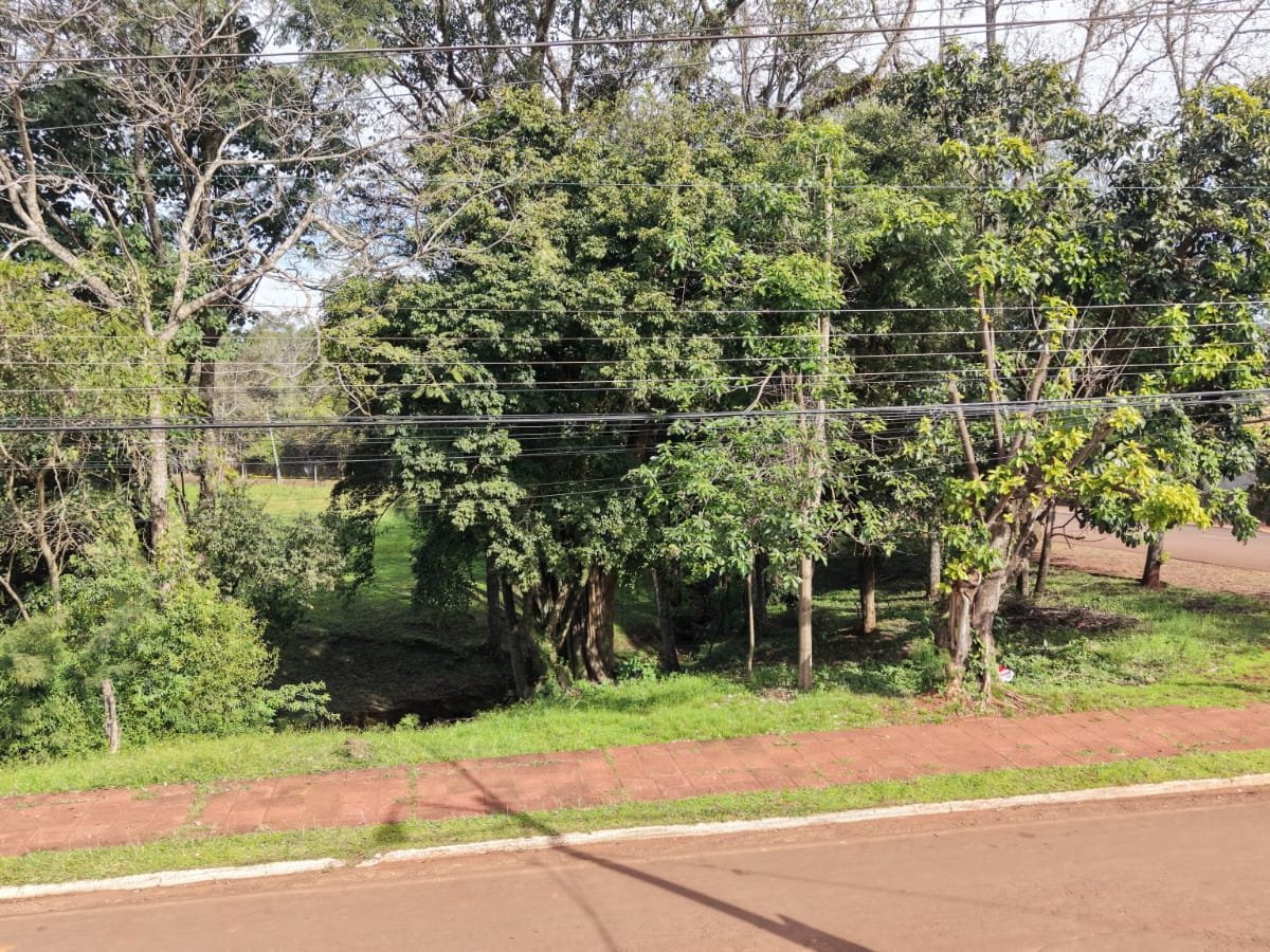 VENDO TERRENO EN BARRIO CENTRO DE HOHENAU — foto 2