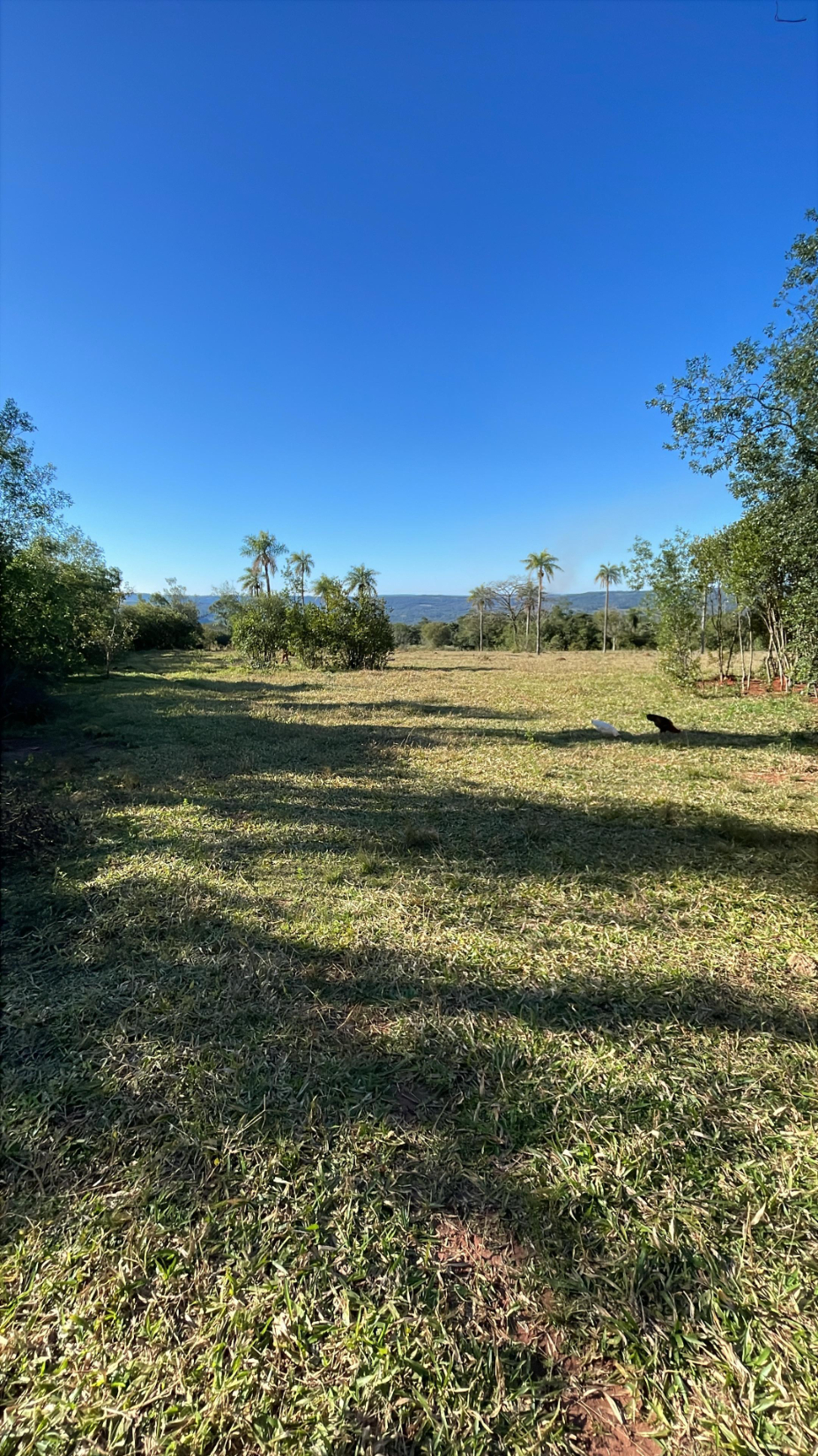 Vendo 15 hectáreas en Ybycuí  Compañía Mbocaya Pucú — foto 3