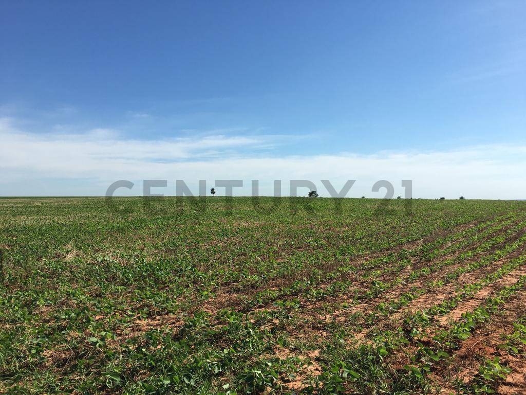 Vendo 49 hectareas en Abai Caazapa-Gran oportunidad de inversion — foto 2