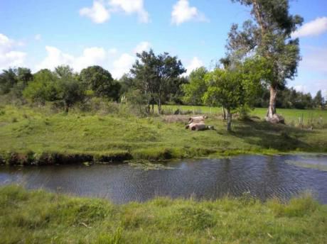 Chacra En Venta En Cerrillos