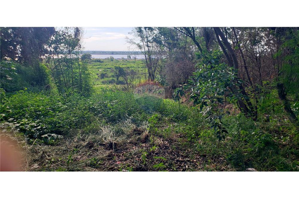 TERRENO EN ALQUILER - MRA — foto 2