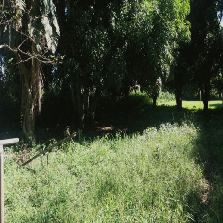 Terreno Urbano Sobre Carretera A Porongo, 20000 M2