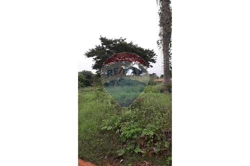 Terreno-Venta-PY Central San Lorenzo — foto 3