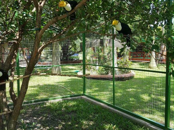 Quinta 1 Ha Frente al Río Paraguay en Villa Hayes | USD 1.250.000 — foto 2