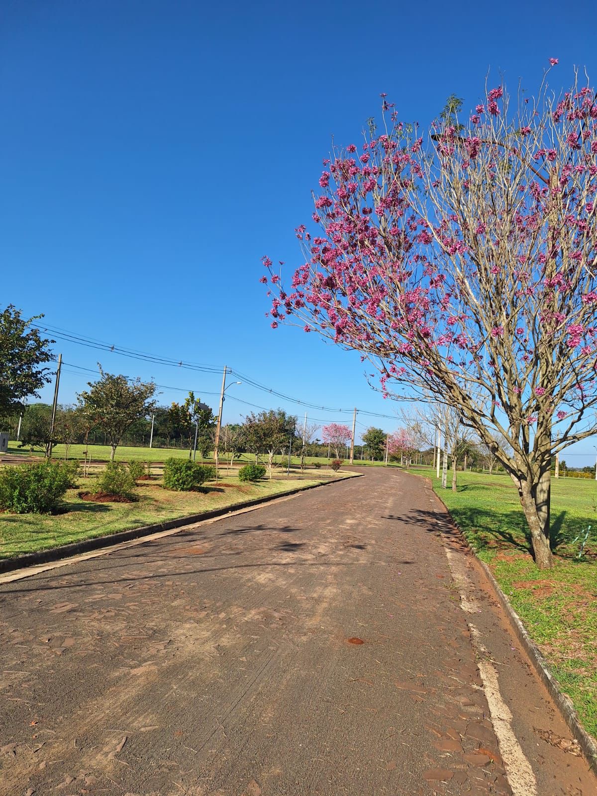 EN VENTA TERRENO EN COSTA DEL LAGO — foto 2