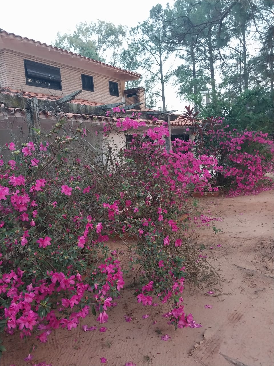 Vendo Casa Quinta de 4.105 m2 en Ytaybumí, Caacupé - CLHO5892753 — foto 3