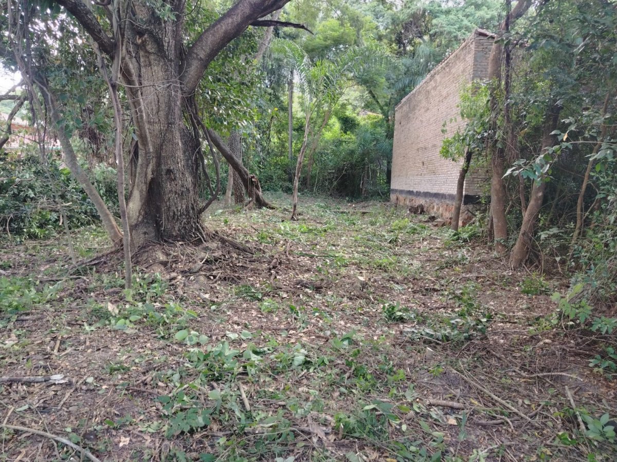 VENDO TERRENO EN BARRIO SANTO DOMINGO SAN BERNARDINO — foto 3