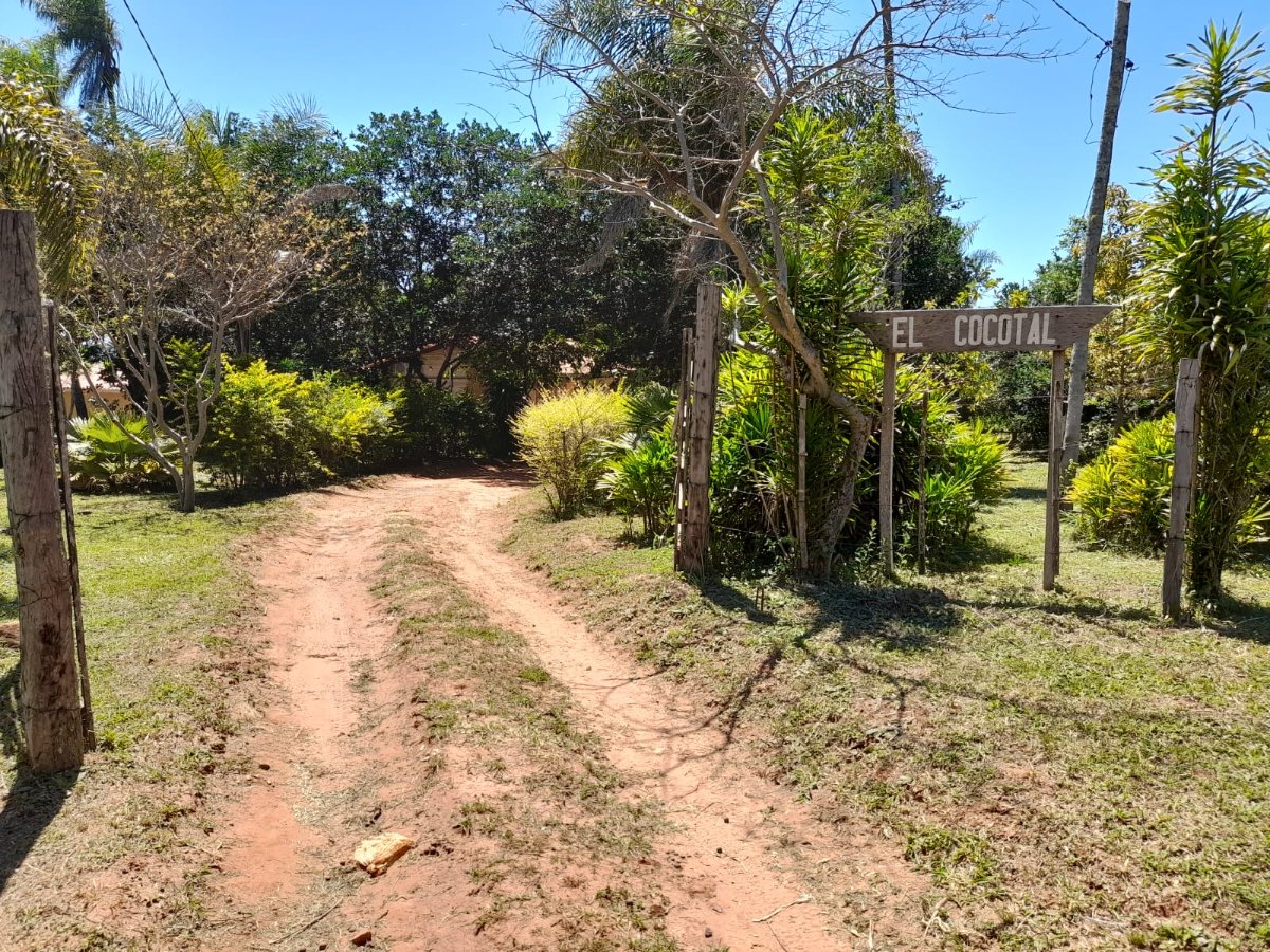 EN VENTA – PROPIEDAD RURAL EN CAPILLA CUÉ, PARAGUARÍ — foto 3