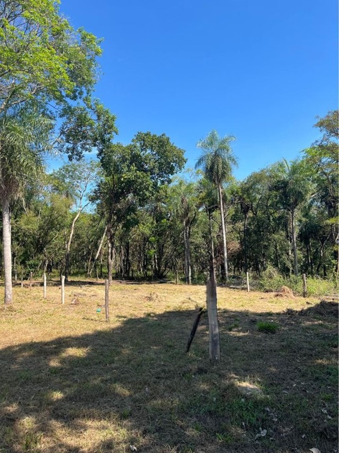 VENDO TERRENO EN LA MEJOR ZONA DE SAN BERNARDINO — foto 3