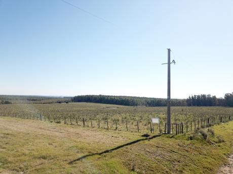 Campo De 17 Hectáreas Sobre Ruta 8 Km 103