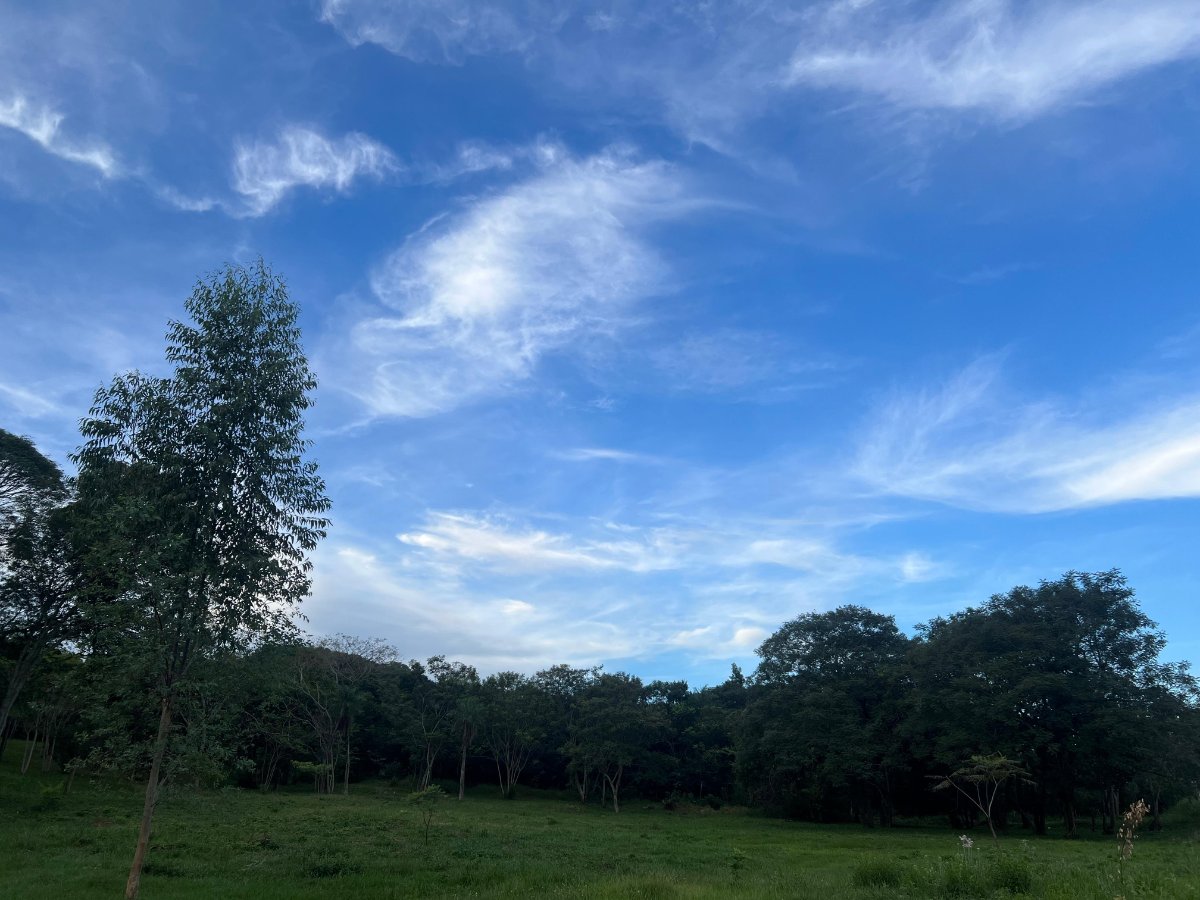 VENDO TERRENO EN BARRIO CERRO REAL CAACUPÉ — foto 2