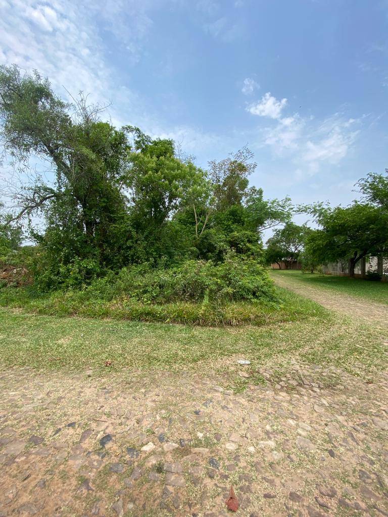VENDO AMPLIO TERRENO EN SAN BERNARDINO - SADI 1 — foto 3