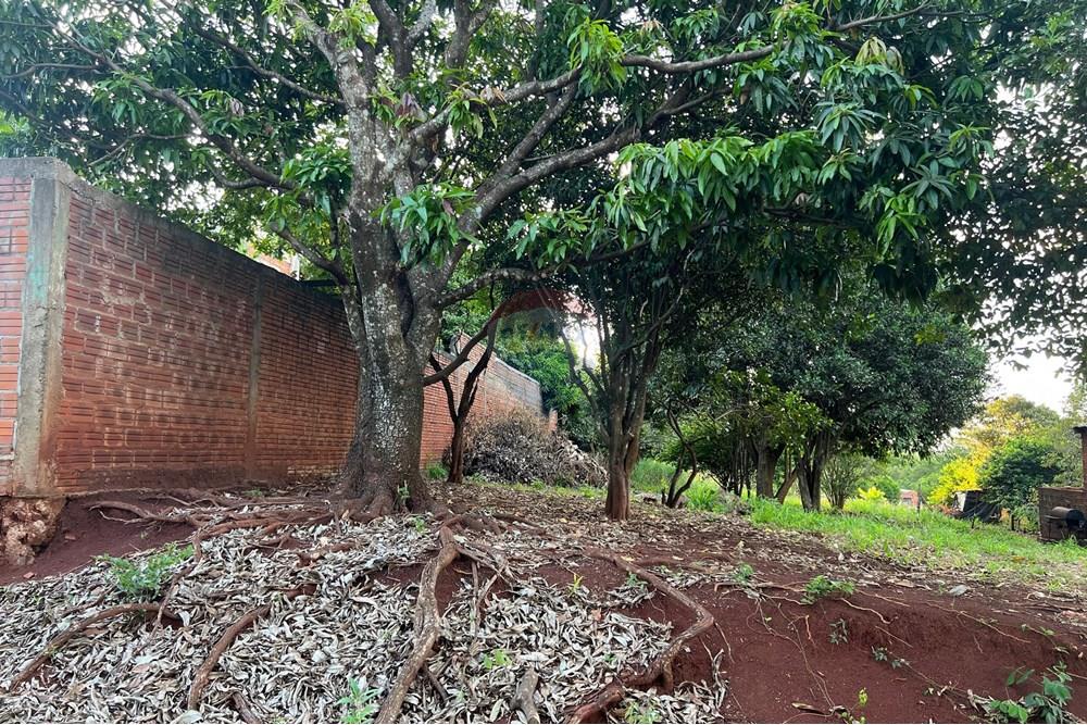 Terreno - Venta - Cambyretá, Itapúa, Paraguay — foto 3