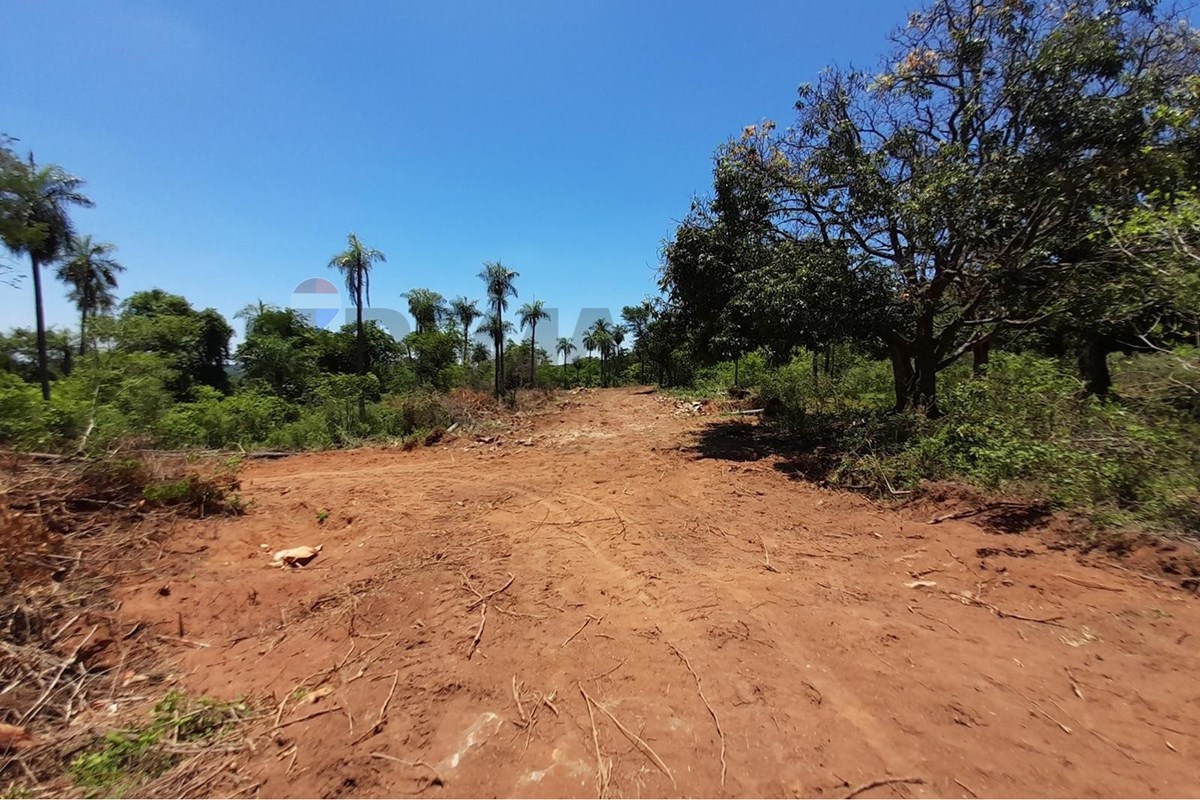 Vendo Terreno en caacupe — foto 3