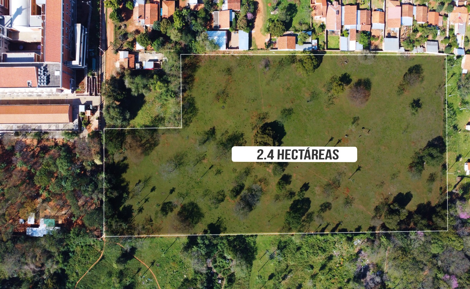 LUQUE EN VENTA TERRENO DE 2,4 HECTAREAS — foto 3